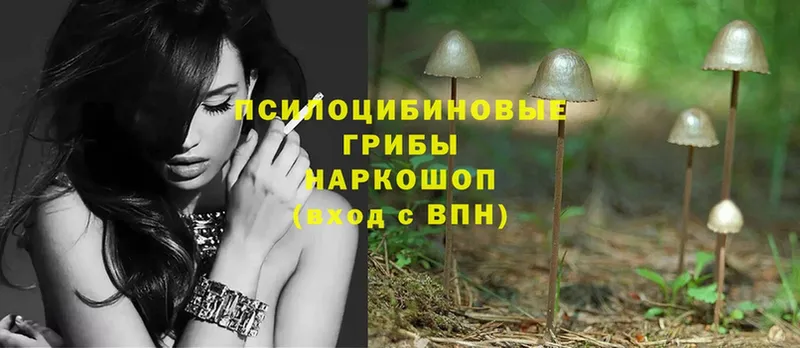 Галлюциногенные грибы Magic Shrooms  Пудож 