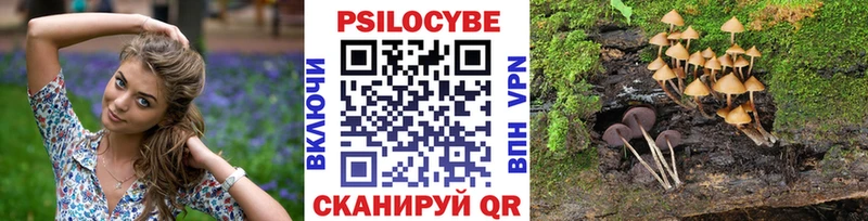 Галлюциногенные грибы Magic Shrooms  купить наркотики сайты  Пудож 